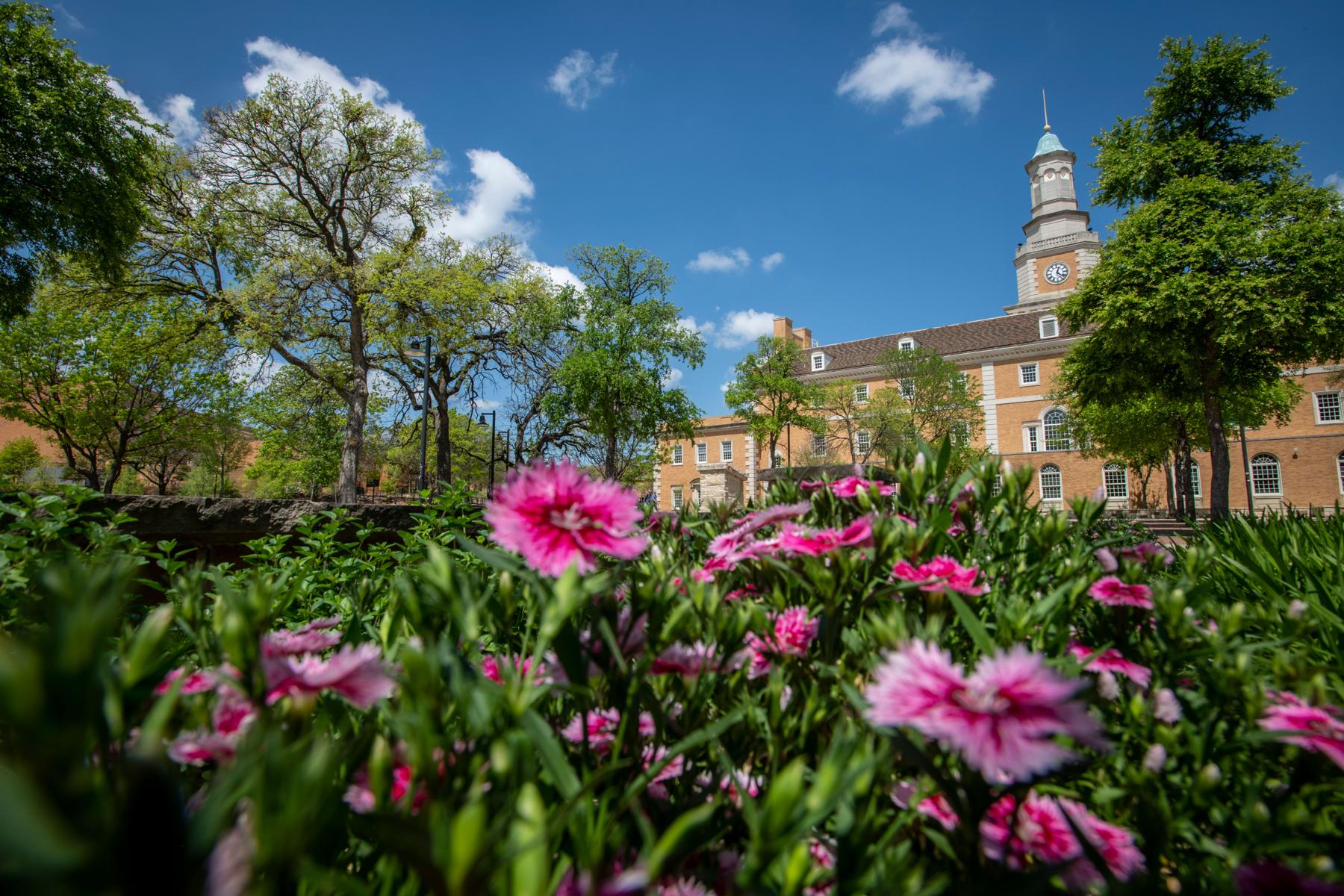 UNT Campus Beauty