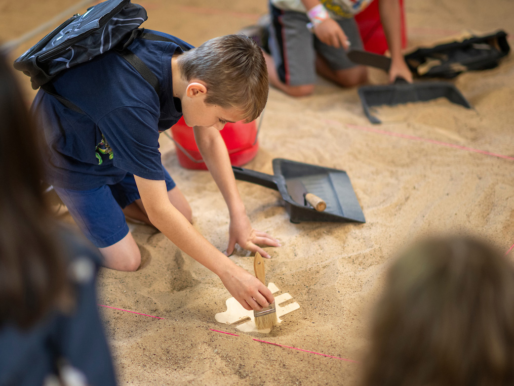 Child brushing sand away from a fake fossil