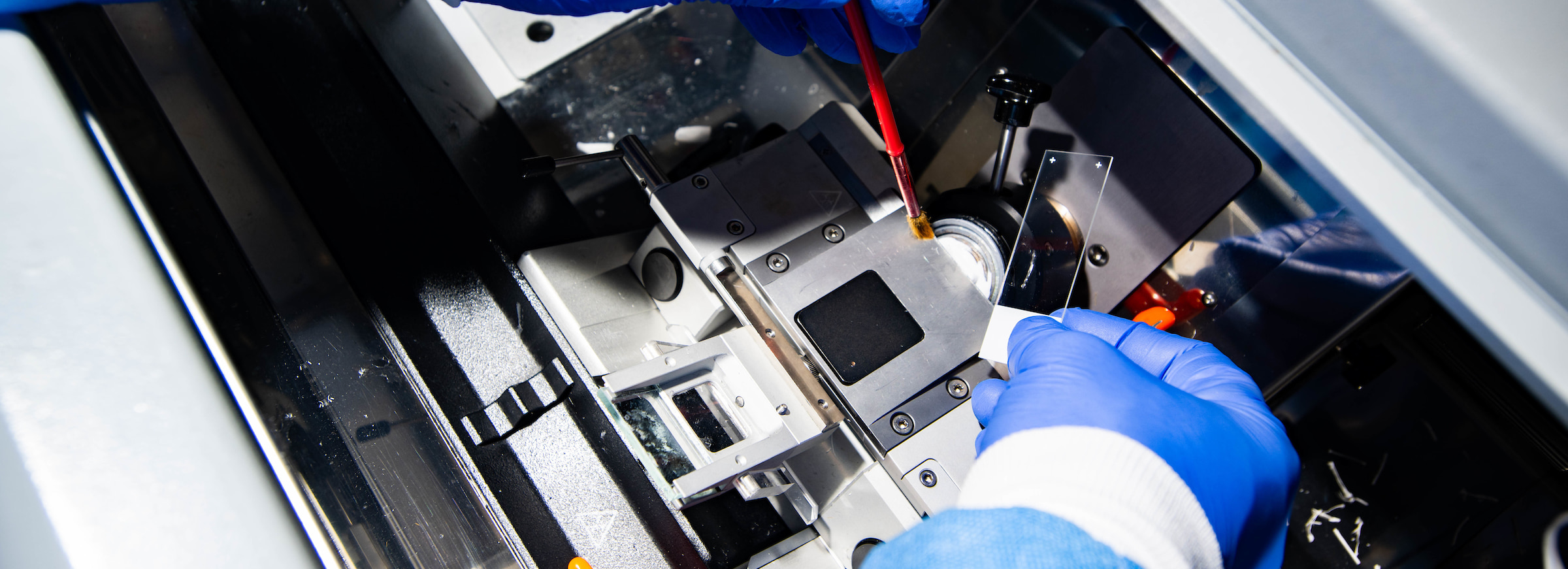 A close up of a machine used to study the organoids