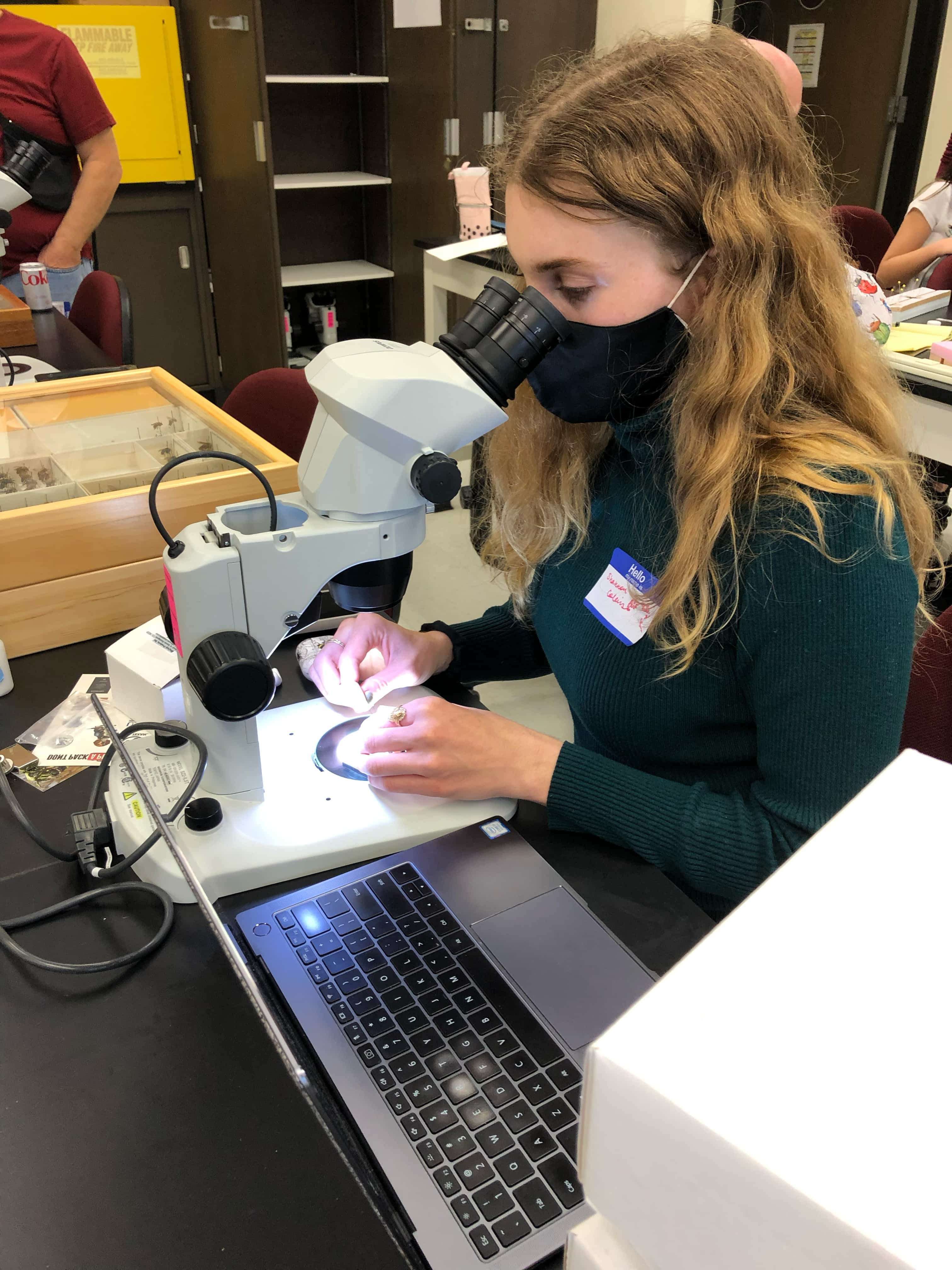 Shannon Collins at a microscope studying the bees she caught