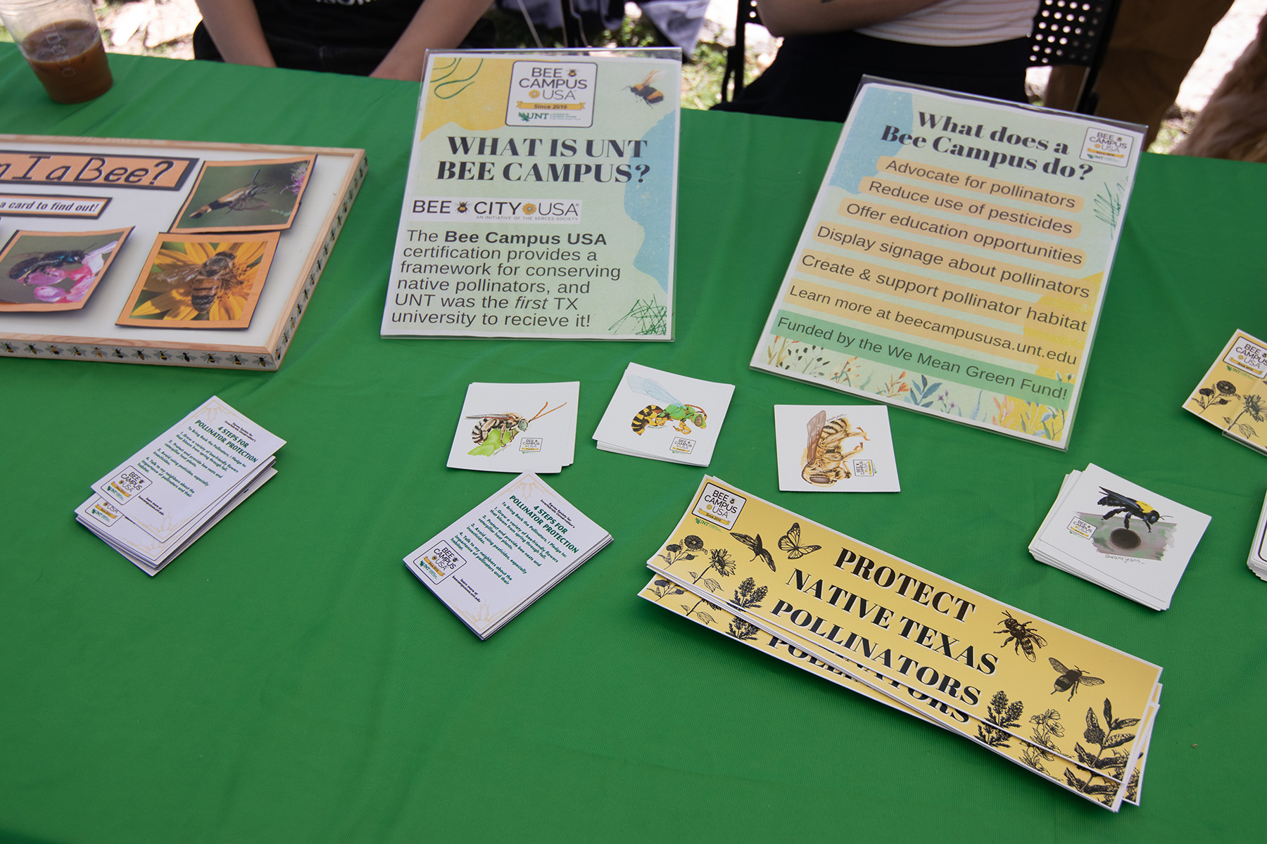 Educational materials at the UNT Bee Campus Committee table (image courtesy of Bryant Varnell)