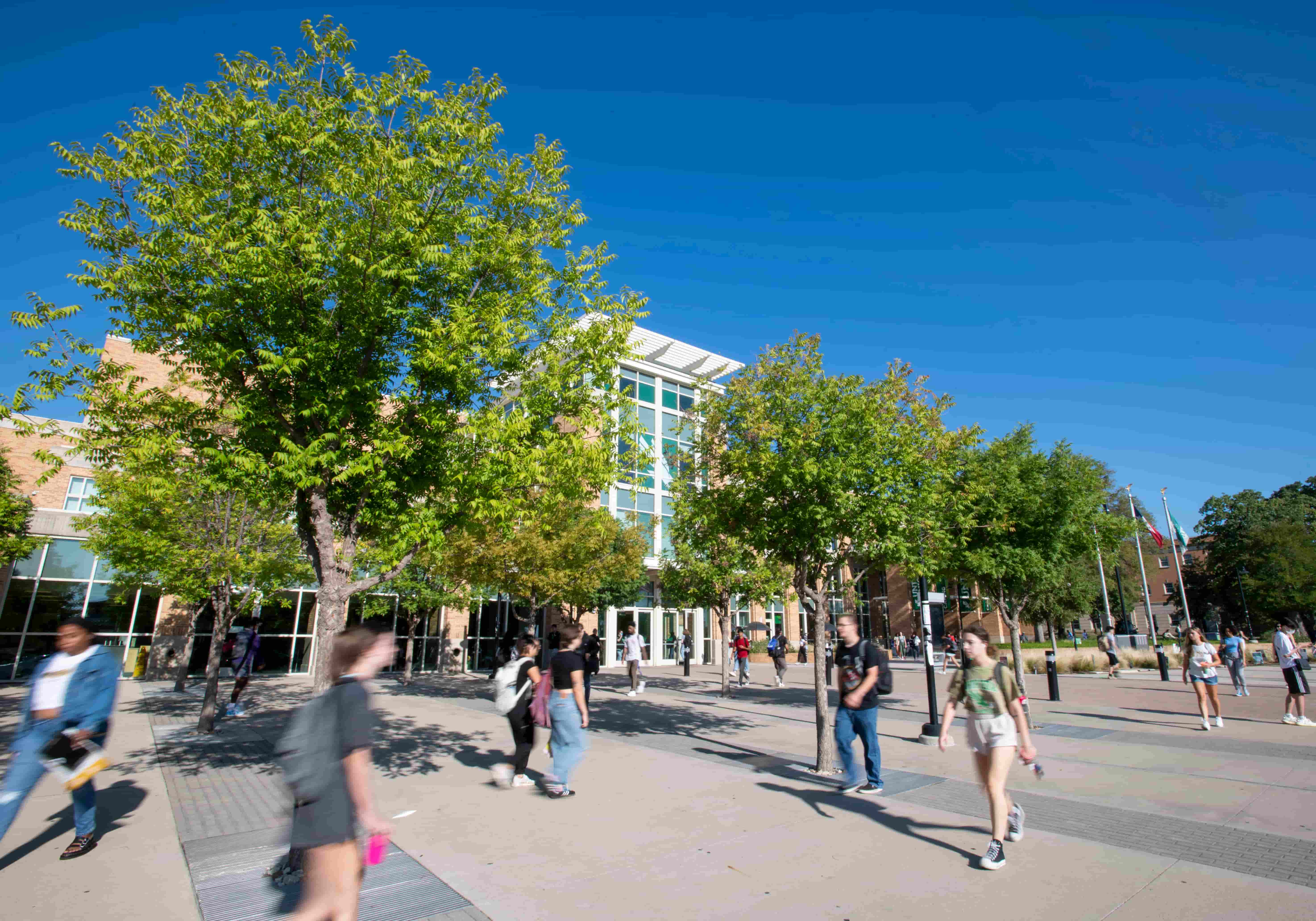 The UNT Union building in the background with a large tree in front and people walking on the sidewalk