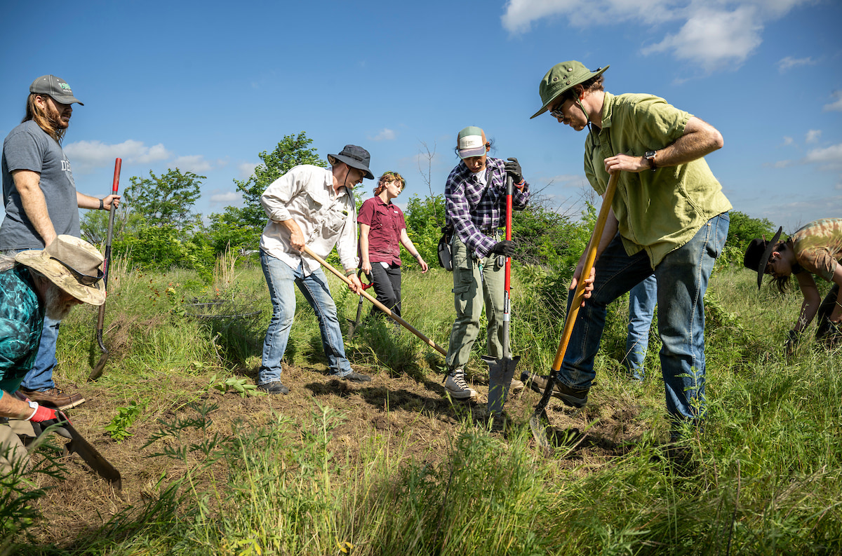 Seven people in hats and work clothes work together with shovels to dig up grasses in a prairie.