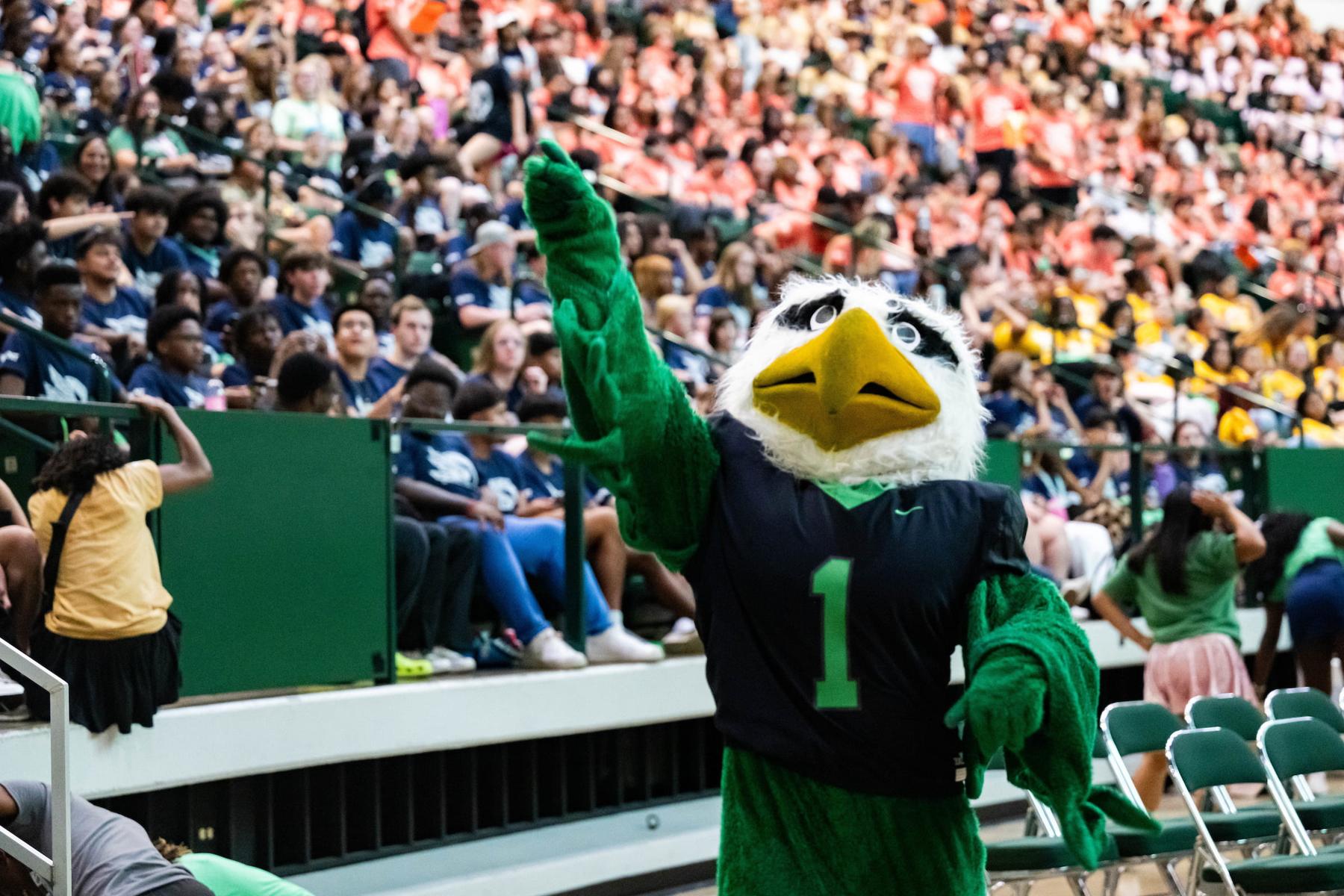 Scrappy waves to a stadium full of onlookers.