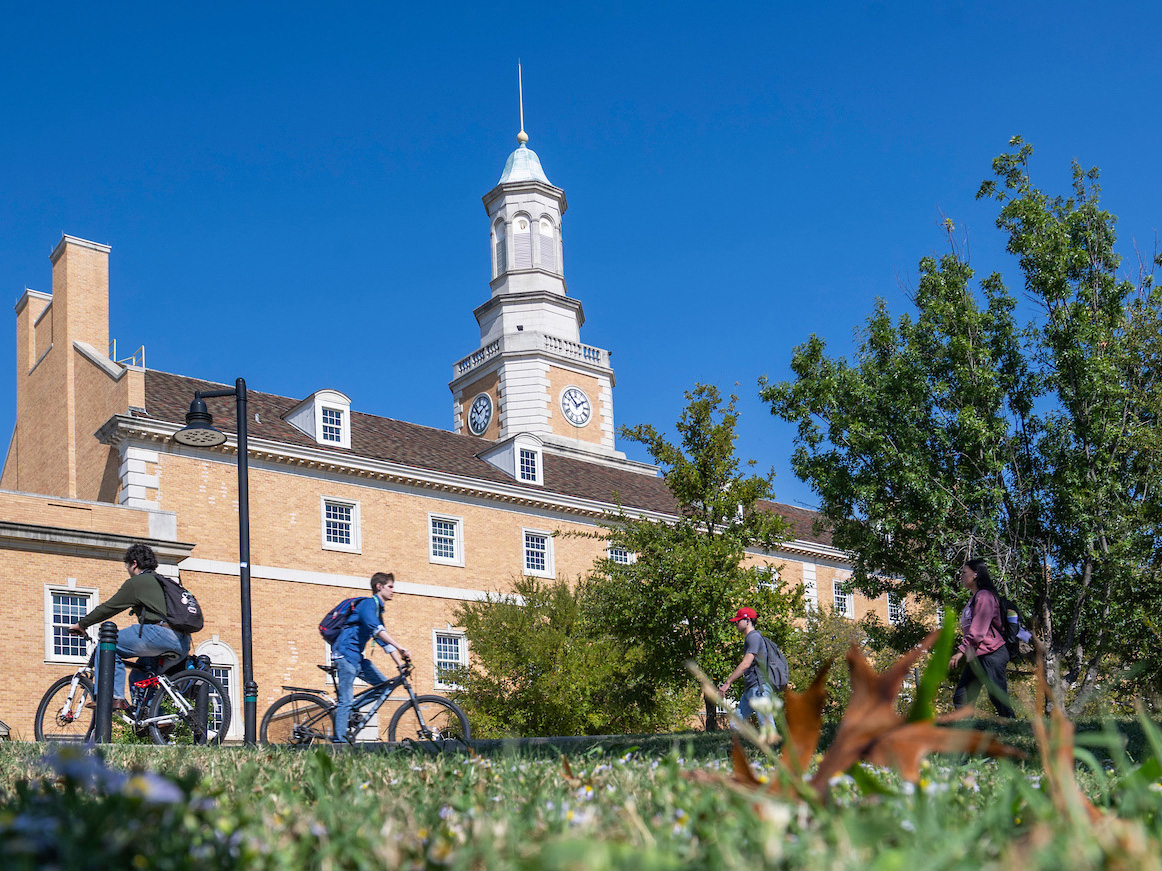 A photo of the green UNT letter sculptures in the distance. Bright red flowers fill the foreground.