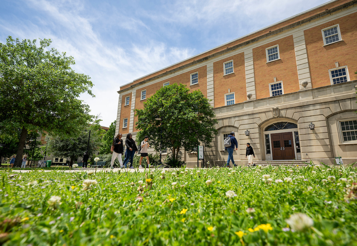 A photo close to the ground that shows grass and wildflowers in the foreground. In focus is a brick academic building.
