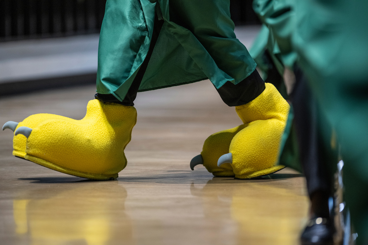 A photo of giant yellow eagle mascot feet walking across a floor. The wearer is also wearing a green graduation gown.