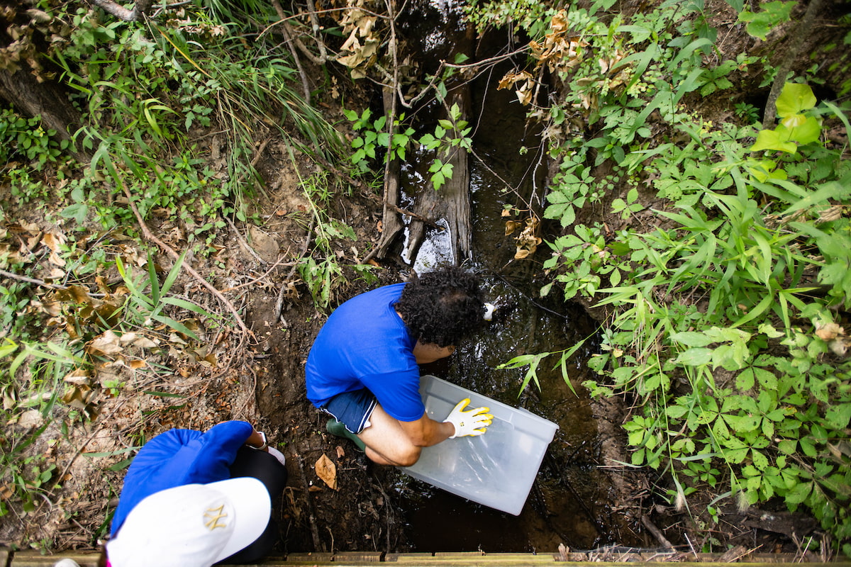 Adão-Pérez collecting the natural leaf packs