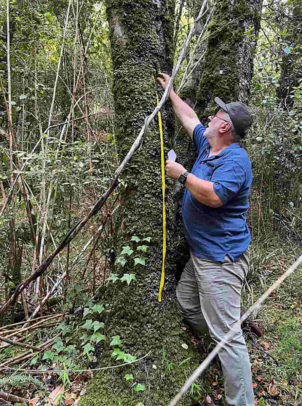 Dr. Jaime Jiménez collects tardigrade samples from a tree on Navarino Island, Chile