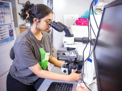 Shriya Raja, a TAMS student on the general math and science track