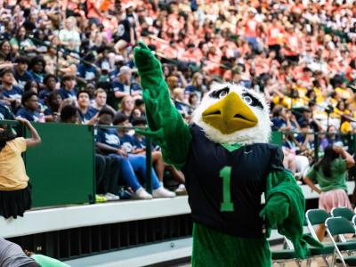 Scrappy waves at a stadium full of students