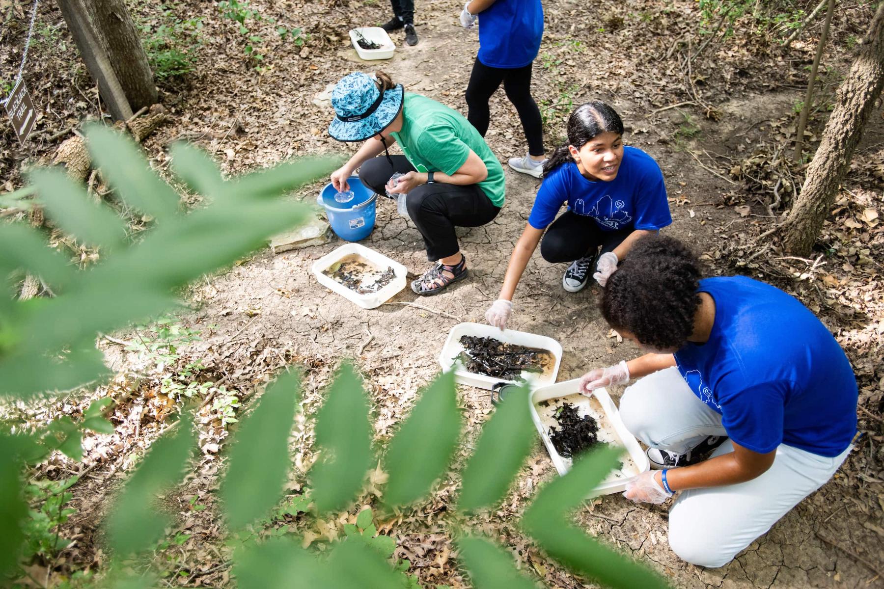 People Collecting leaf packs