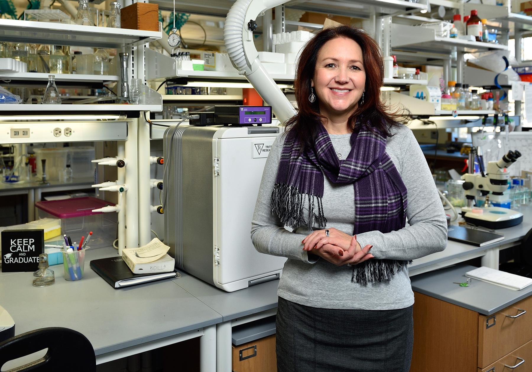 Pam Padilla chosen to lead UNT’s research and innovation division