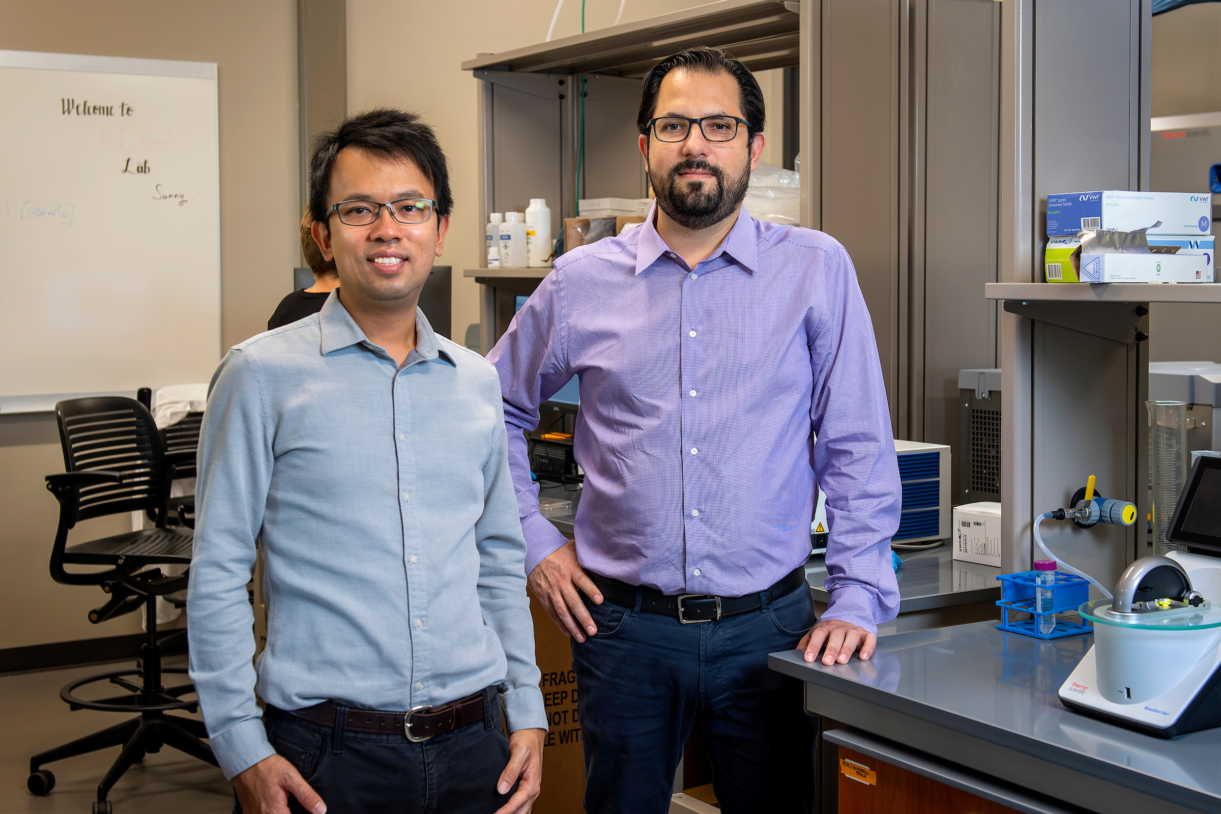 Researchers at UNT and UTD discover way to more readily and accurately design new proteins to reprogram living cells