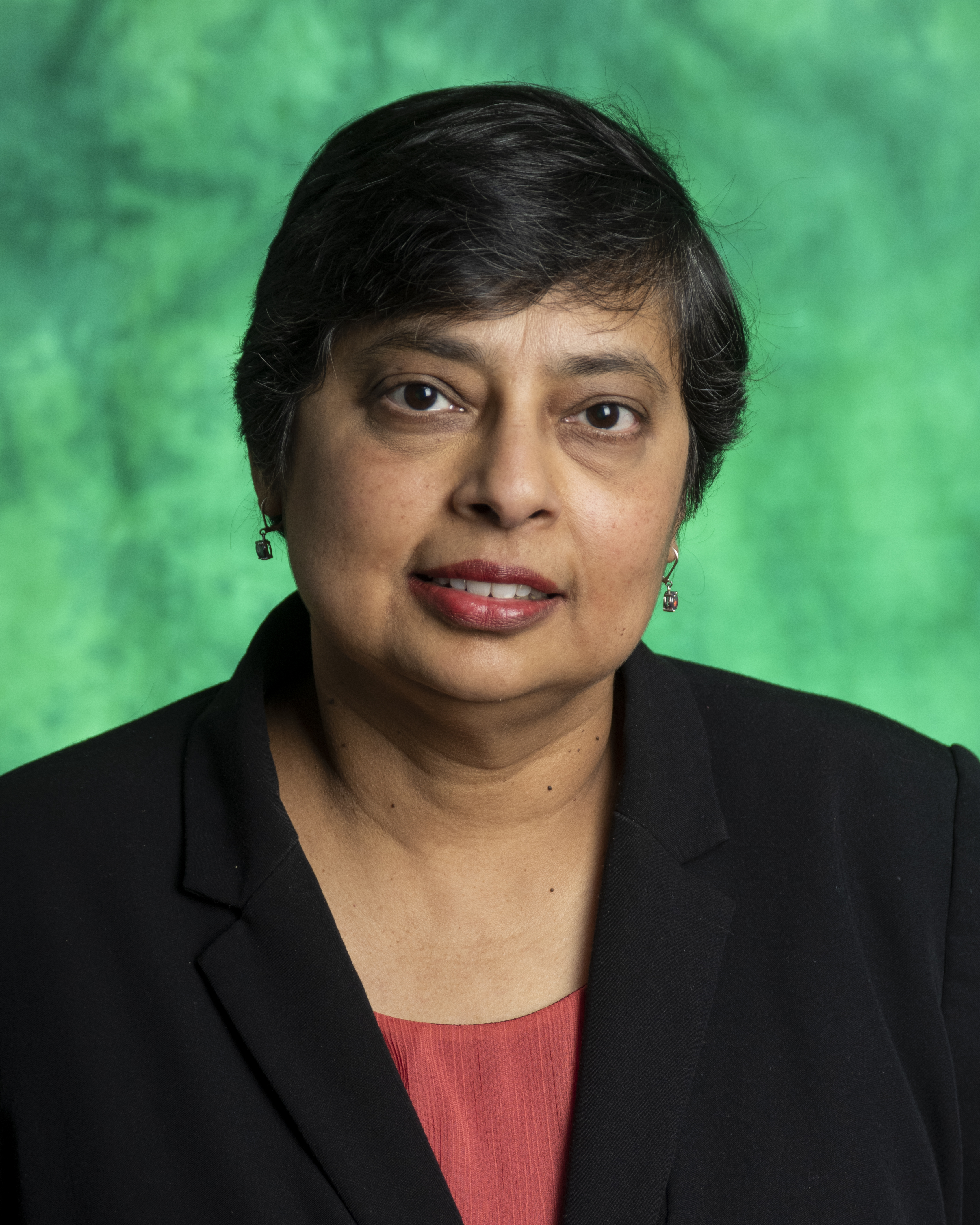 UNT, North Central Texas College partner on NSF grant to increase equity and inclusion in engineering