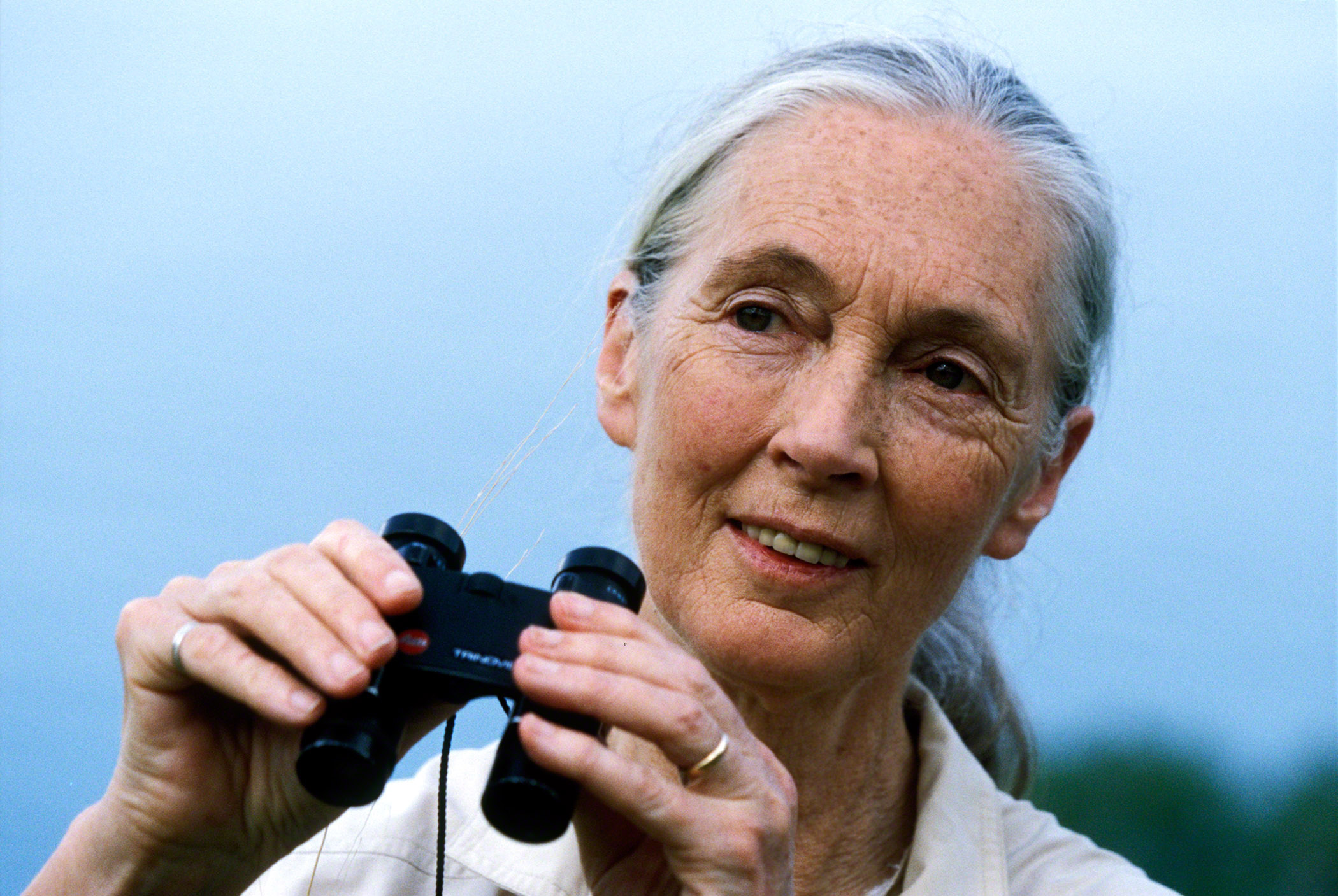 Jane Goodall to speak as part of UNT’S Distinguished Lecture Series