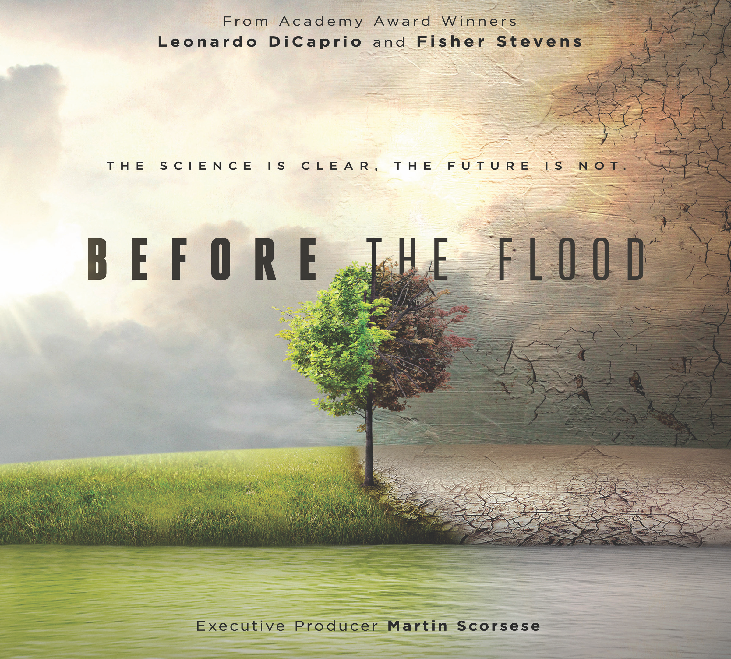 "Before the Flood" by Leonardo DiCaprio