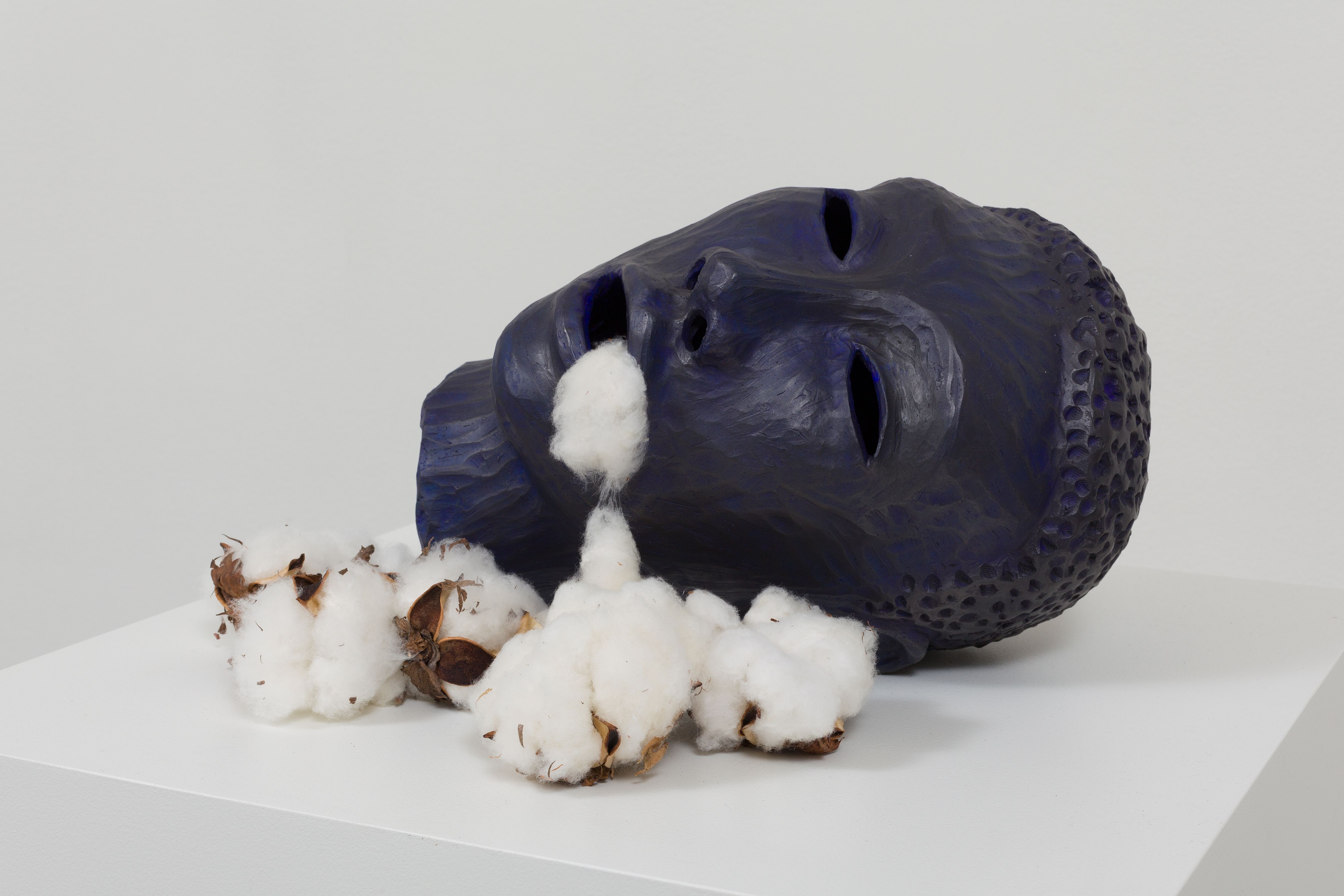 Cotton Eater (head) AIS13-30 D.jpg Alison Saar Cotton Eater (head), 2013 ceramic, acrylic, graphite and cotton bolls 7 1/2 x 13 x 10 1/2 inches Collection of Jordan D. Schnitzer (HIPM) Courtesy the artist