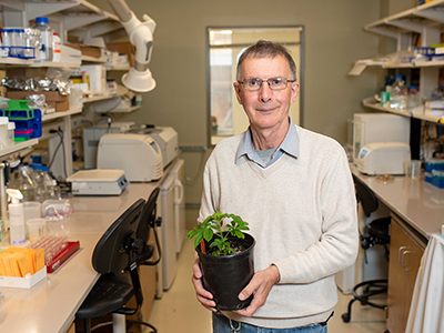 UNT plant science discovery advances renewable energy research