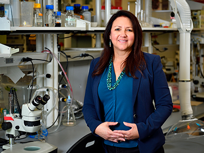 Pamela Padilla appointed dean of UNT’s College of Science